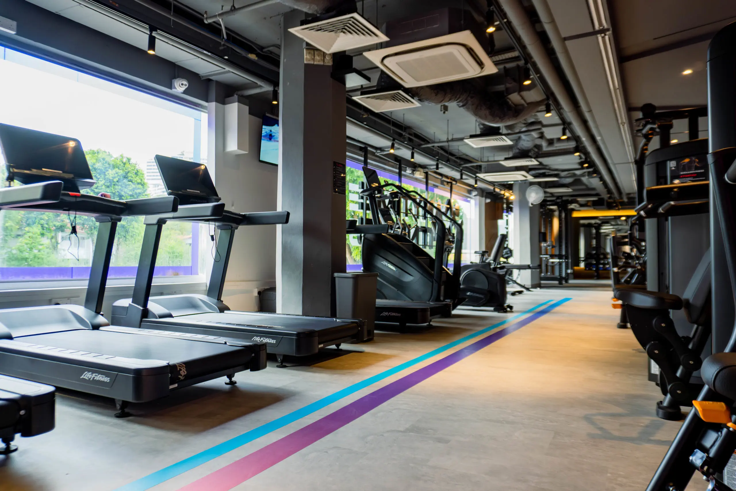Anytime Fitness New Queensway with a row of cardio machines facing a brightly lit window from the afternoon sun