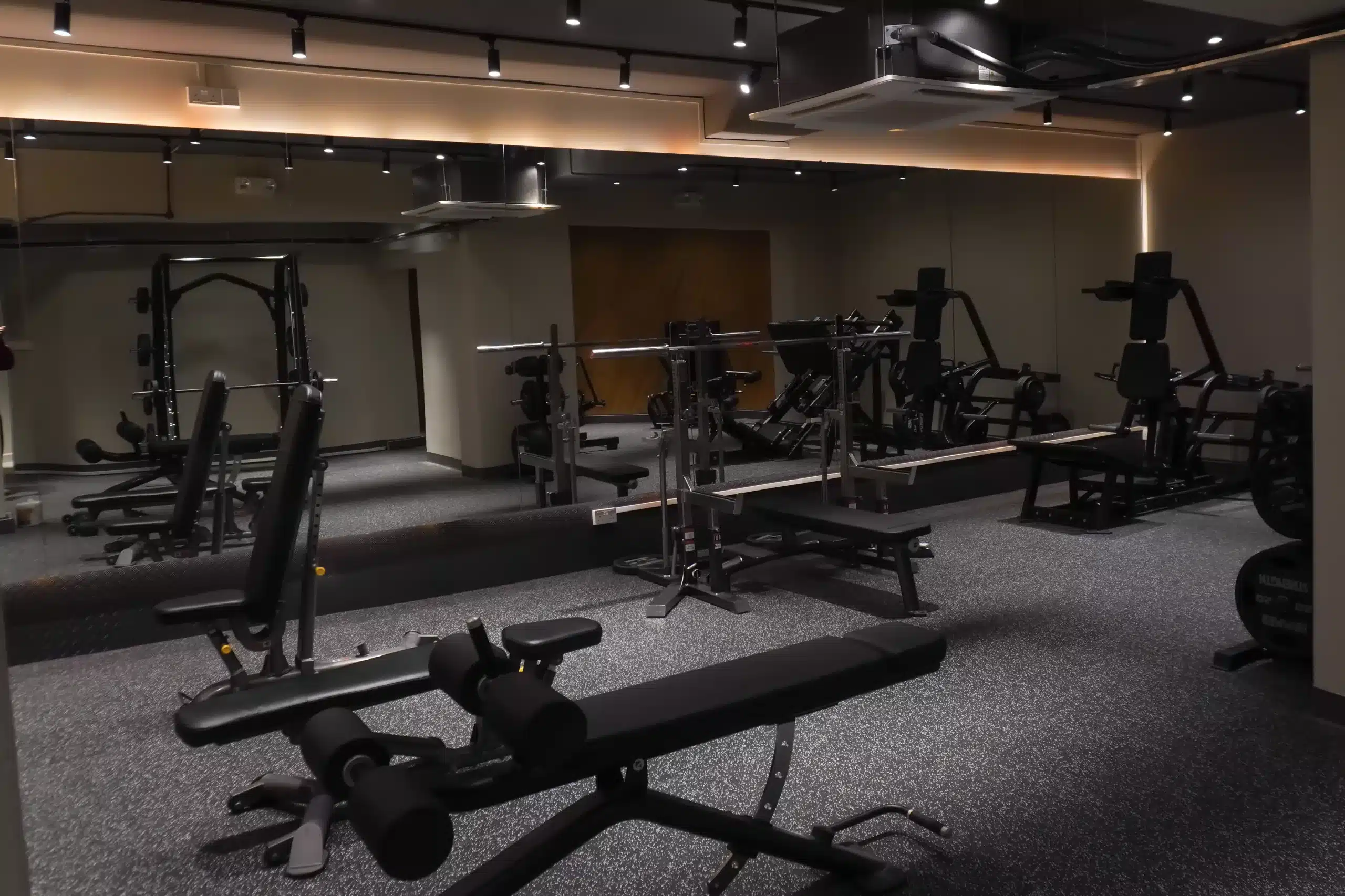 The basement level of ReFormd Sixth Avenue which depicts machines and freeweights with 3 exercise benches in the foreground, an eleiko competition rack in the mid ground and a v-squat in the background